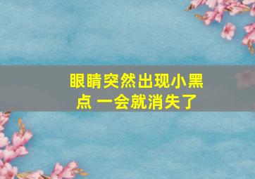 眼睛突然出现小黑点 一会就消失了